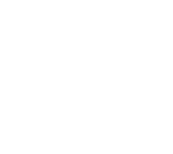 日本の寿司文化を世界へ Unleash Your Professional Mind.